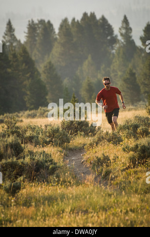 Sentiero maschio runner nella Bighorn Pass Trail nella gamma Gallatin, il Parco Nazionale di Yellowstone, Wyoming USA Foto Stock