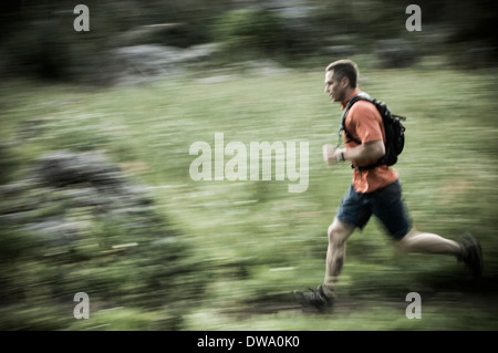 Sentiero maschio runner in Albion bacino nei pressi di Alta Ski Area in po' di pioppi neri americani Canyon, Montagne Wasatch, Utah, Stati Uniti d'America Foto Stock