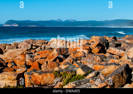 Friendly Spiagge Riserva è un 140 ha natura costiera di riserva nel est della Tasmania, Australia, 190 km a nord-est di Hobart e 180 Foto Stock