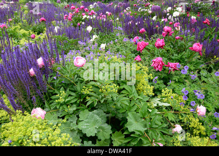 Giardino di fiore Foto Stock