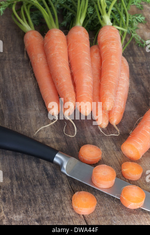 Il taglio appena raccolto le carote Foto Stock