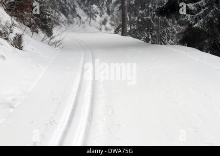Blackforest Germania in inverno con la neve Foto Stock