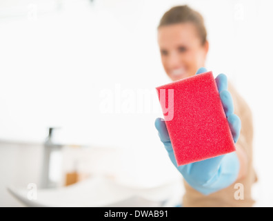 Primo piano sul giovane casalinga che mostra una spugna Foto Stock