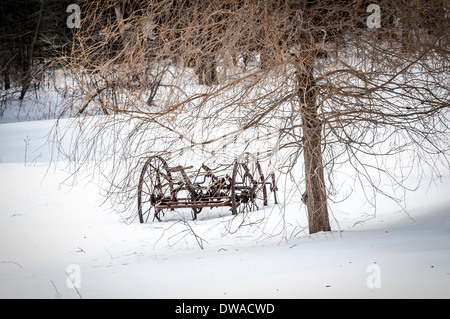 Vecchio rastrello da fieno. Un vecchio rastrello fieno è stata lasciata arrugginire lontano nel campo per molti inverni. Foto Stock