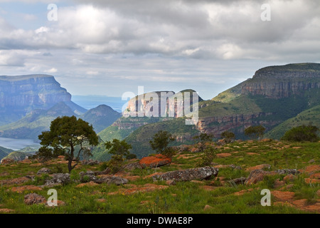 Blyde River Canyon, tre Rondavels, Northern Drakensberg - Mpumalanga in Sudafrica Foto Stock