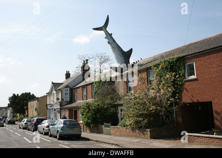 Uno squalo si è schiantato attraverso un tetto in Headington Oxford. Foto Stock