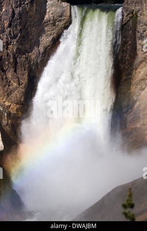 Un arcobaleno forme alla base delle Cascate Inferiori lungo il Grand Canyon di Yellowstone Fiume nel Parco Nazionale di Yellowstone, Wyoming. Foto Stock