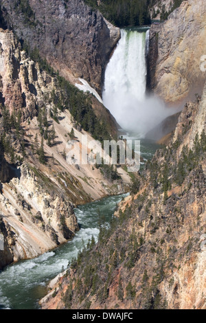 Le cascate Inferiori lungo il Grand Canyon di Yellowstone come visto dal punto di artista nel Parco Nazionale di Yellowstone, Wyoming. Foto Stock