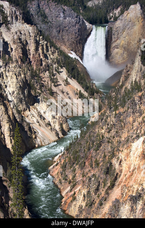 Le cascate Inferiori lungo il Grand Canyon di Yellowstone River, come si vede dal punto di artista nel Parco Nazionale di Yellowstone, Wyoming. Foto Stock