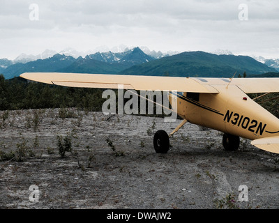 Giallo Cessna 120 motore singolo piano bush parcheggiato su una striscia di sabbia nel backcountry Foto Stock