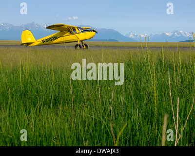 Giallo Cessna 120 motore singolo piano bush parcheggiato su un'erba e striscia di sporco nel backcountry Foto Stock