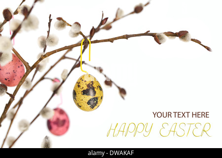 Le uova di pasqua su un ramo Foto Stock
