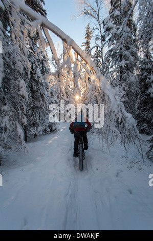 Foto della persona snow biking, estremo nord il Bicentennial Park, Anchorage in Alaska,. Inquadratura da dietro. Foto Stock