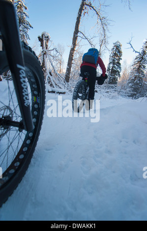 Angolo basso foto della persona che guida fat tire snow bike, Anchorage in Alaska, colpo da dietro. Preparate un battuto di lardo forcella e pneumatico in primo piano Foto Stock