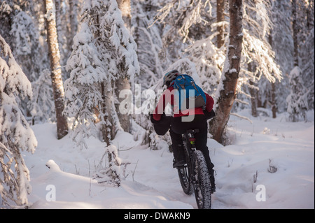 Foto della persona che guida fat tire snow bike sul speedway trail, Campbell sentieri, Anchorage in Alaska, colpo da dietro. Foto Stock