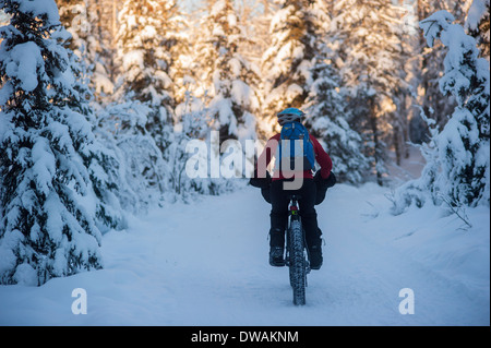 Foto della persona che guida un fat tire snow bike sul speedway trail, Campbell sentieri, Anchorage in Alaska,, inquadratura da dietro. Foto Stock
