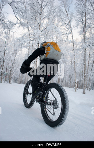 Angolo basso foto della persona che guida fat tire snow bike sul speedway trail, Campbell sentieri, Anchorage in Alaska, colpo da dietro. Foto Stock