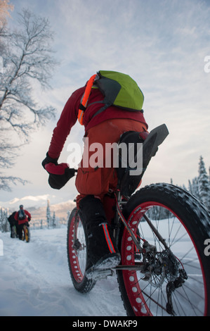 Angolo basso foto della persona che guida fat tire snow bike sul speedway trail, Campbell sentieri, Anchorage in Alaska, colpo da dietro. Foto Stock