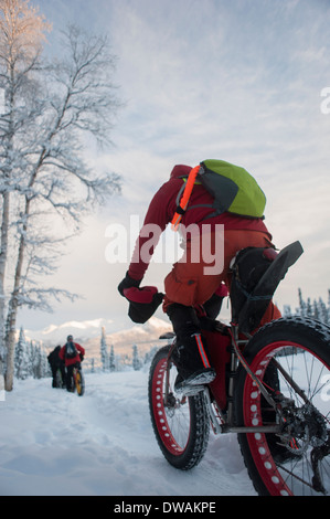 Angolo basso foto di una persona che guida un Fat Tire Bike di neve in inverno, Campbell sentieri, Anchorage in Alaska,, inquadratura da dietro Foto Stock