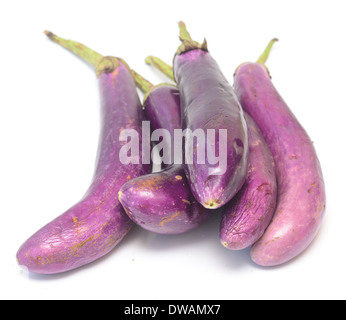 Le melanzane isolati su sfondo bianco Foto Stock