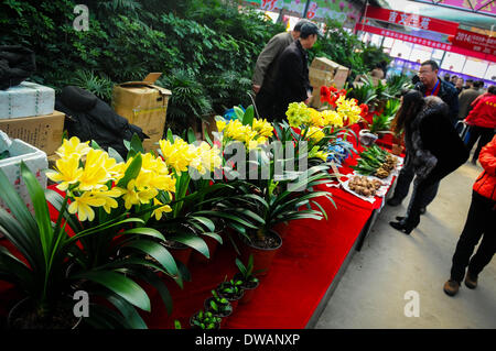 Changchun, la Cina della provincia di Jilin. 5 Mar 2014. I visitatori guardano clivia presentato durante il primo Cina (Changchun) Flower Expo in Changchun, capitale del nord-est della Cina di provincia di Jilin, 5 marzo 2014. Otto giorni di expo ha dato dei calci a fuori il mercoledì. © Xu Chang/Xinhua/Alamy Live News Foto Stock