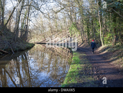 Una donna che cammina lungo la strada alzaia Shropshire Union Canal Llangollen ramo tra Colemere e Ellesmere Shropshire England Regno Unito Foto Stock