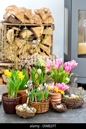 Fiori di primavera con le uova di pasqua decorazione. tulipani, bucaneve e fioriture di narciso Foto Stock