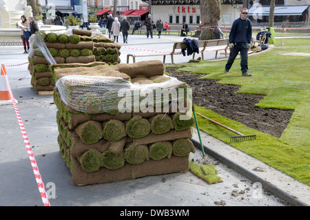 Londra, Inghilterra, Regno Unito. La posa di un nuovo manto erboso in Leicester Square (marzo 2014) Foto Stock