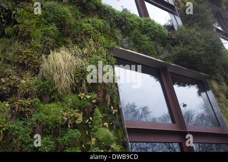 Musee du Quay Branly - edificio verde con un grande muro verde Foto Stock