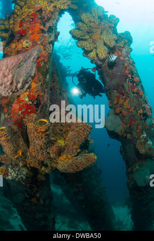 Diver al molo di sale. Foto Stock