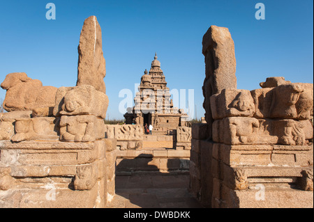 L' India , il Tamil Nadu , Mamallapuram , Mahabalipuram mandapas Kanchipuram Vishnu e Shiva Tempio Shore VII secolo , Sud Sud Foto Stock