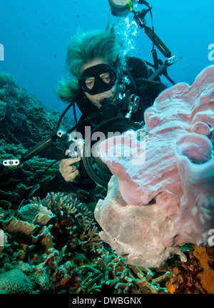 Fotografo subacqueo. Foto Stock