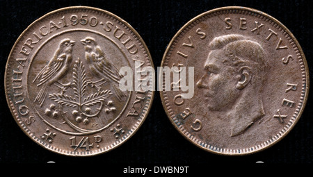 1 Farthing coin, Sud Africa, 1950 Foto Stock