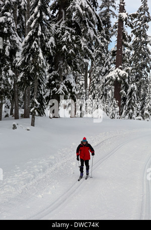 WASHINGTON - sciatore sulle piste di sci di fondo nei pressi di Windy passano in Snoqualmie Pass Nordic Ski Area. Foto Stock