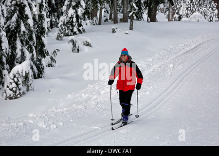 WASHINGTON - sciatore sulle piste di sci di fondo nei pressi di Windy passano in Snoqualmie Pass Nordic Ski Area. Foto Stock