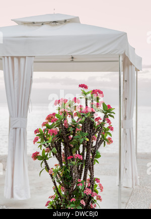 Spa tenda con fiore tropicale che si affaccia sull'oceano. Foto Stock