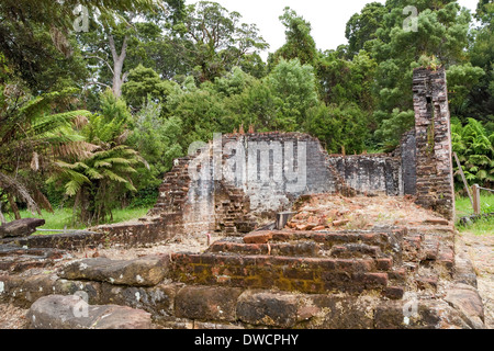 Prigione, Isola di Sarah - insediamento storico dei prigionieri, Porto di Macquarie, Strahan, Tasmania, Australia Foto Stock