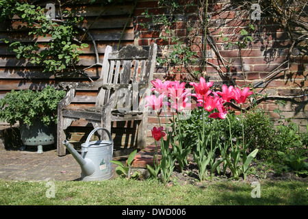 I tulipani accanto al Barn convertito Foto Stock