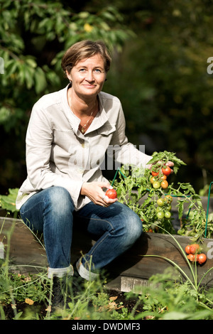 Ritratto di donna matura la raccolta di pomodori in giardino Foto Stock