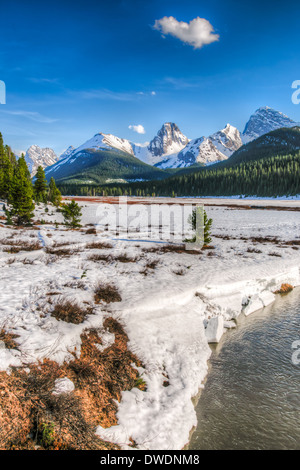 Prato di montagna in primavera, Paese Kananasksi Alberta Canada Foto Stock