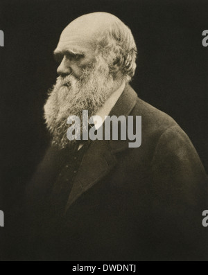 Robert Charles Darwin, il naturalista inglese, geologo e teorico evolutivo, in un ritratto di Julia Margaret Cameron. Foto Stock