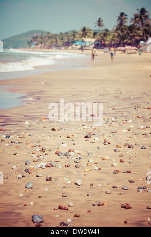 Uscita Anjuna beach panorama sulla bassa marea con il bianco sabbia bagnata e verdi palme di cocco, Goa, India Foto Stock