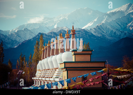 Ladakh in Himalaya indiano, Himachal Pradesh, India Foto Stock