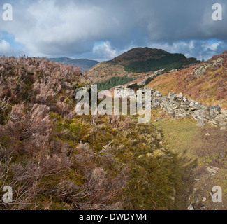 Lake District fells nel tardo inverno, primavera con Dodd nel centro. Foto Stock