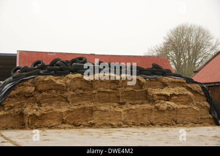 Un insilato pit contemplati nei pneumatici nel cortile di una fattoria in Irlanda dell'ovest. Foto Stock