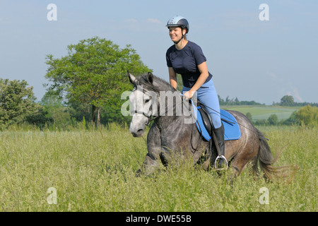 Giovane pilota sul dorso di un pony Connemara mare al galoppo in un prato Foto Stock