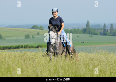 Giovane pilota sul dorso di un pony Connemara mare al galoppo in un prato Foto Stock