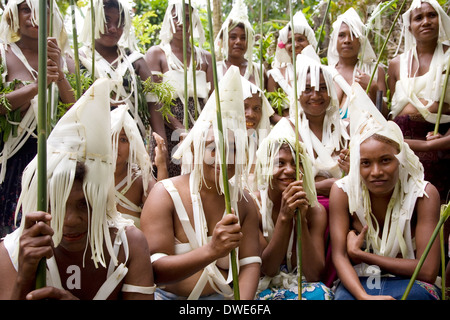 Un giovane gruppo di ballerini da Nafinuatogo Village con costumi realizzati da alberi di banane, Santa Ana Isola, Isole Salomone Foto Stock