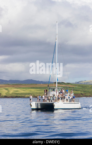 Costa di Na Pali, Kauai, Hawaii, Stati Uniti d'America - Catamarano in mare e whale watching prima di andare in crociera Foto Stock