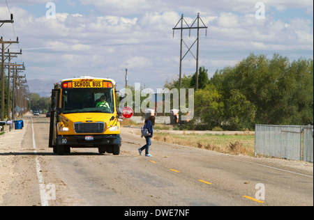 Una scuola bus si fermava con luci rosse lampeggianti e segno di stop che consente al bambino di scendere nel Canyon County, Idaho, Stati Uniti d'America. Foto Stock
